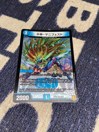 ネ申・マニフェスト