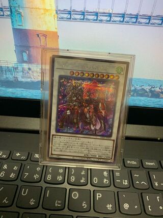 フルール・ド・バロネス