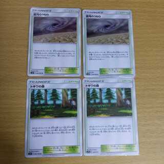 混沌のうねり　トキワの森