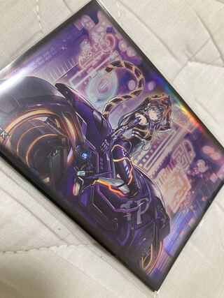 IPマスカレーナ　スリーブ