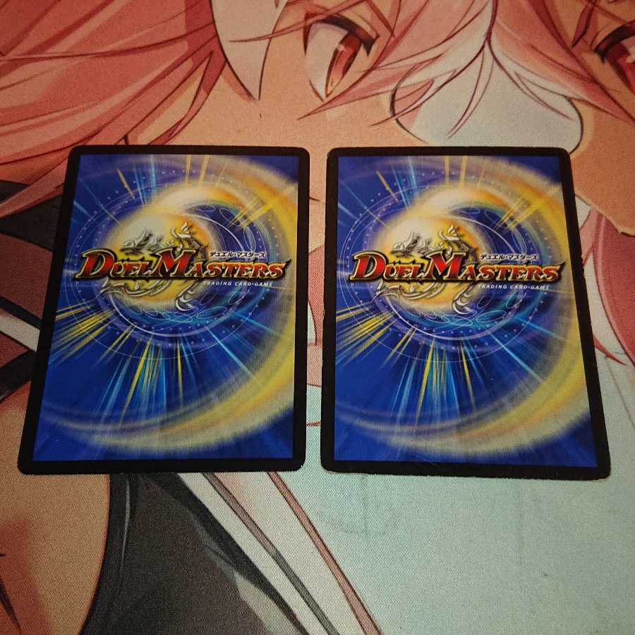 「追跡発送」 戒王の封