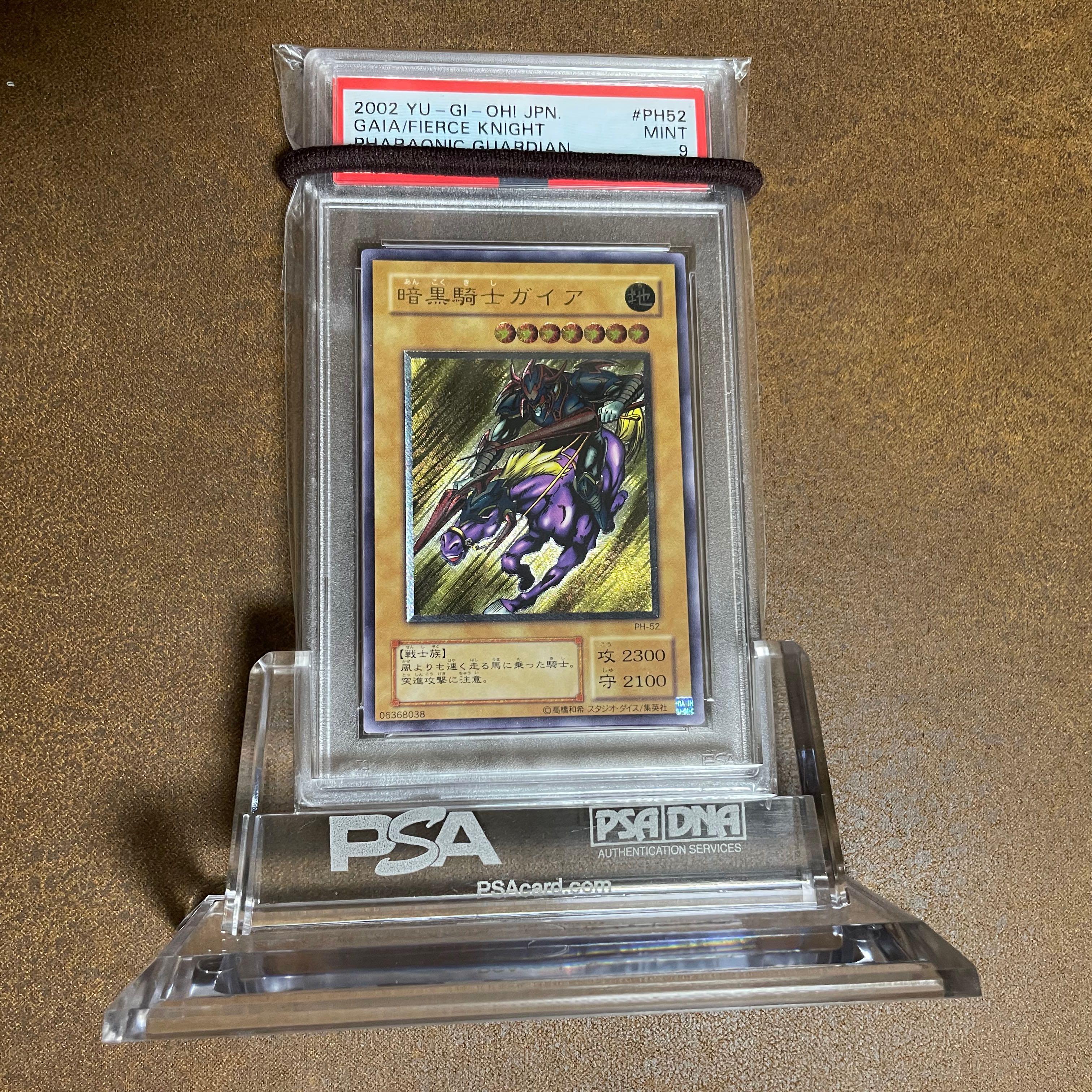 PSA9 暗黒騎士ガイアレリーフ