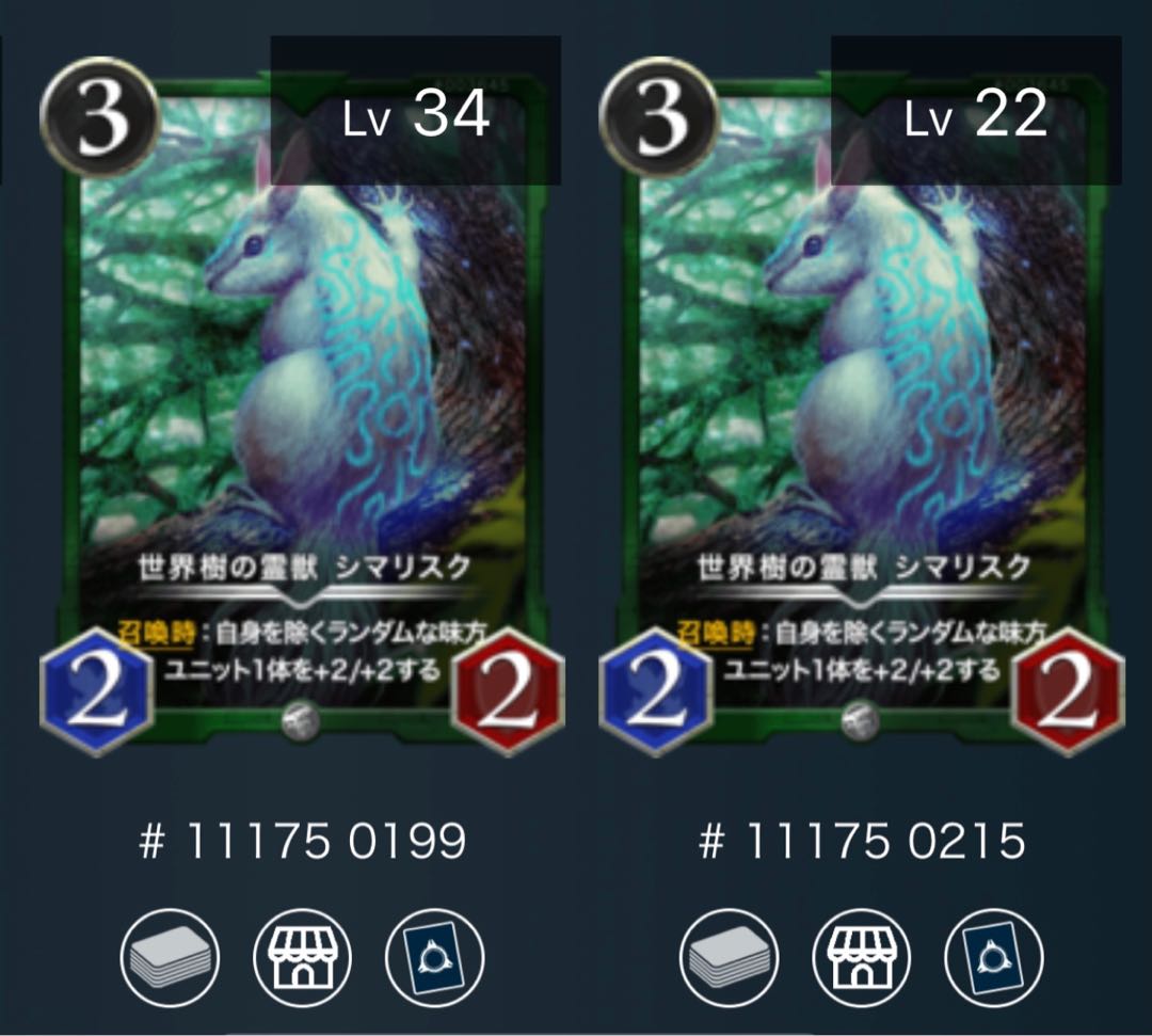 シマリスク　２枚セット