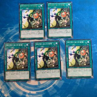 神の写し身との接触