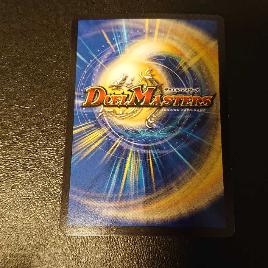 D2W ワイルド・スピード SR S2/S9 [800]