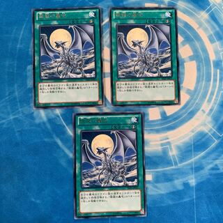 銀龍の轟咆 レア