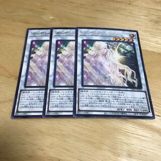 ガーデン・ローズ・フローラ レア　Hulu