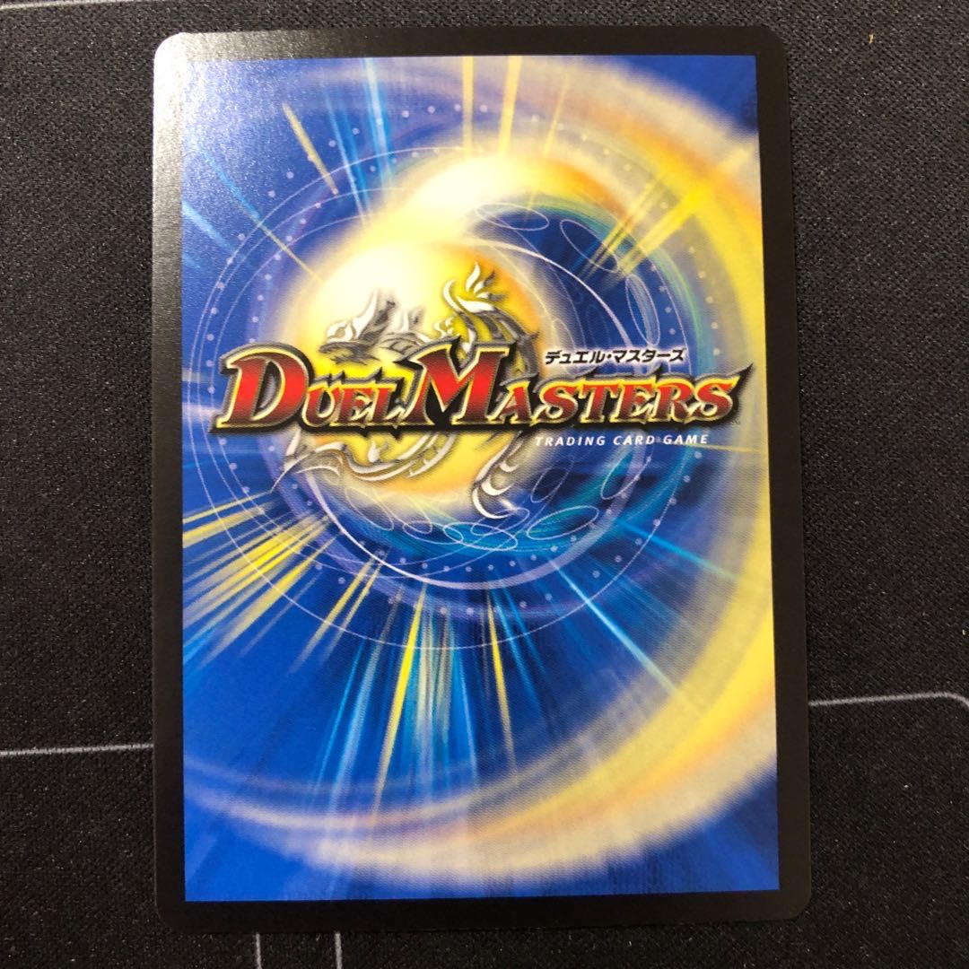 煌星龍 サッヴァーク