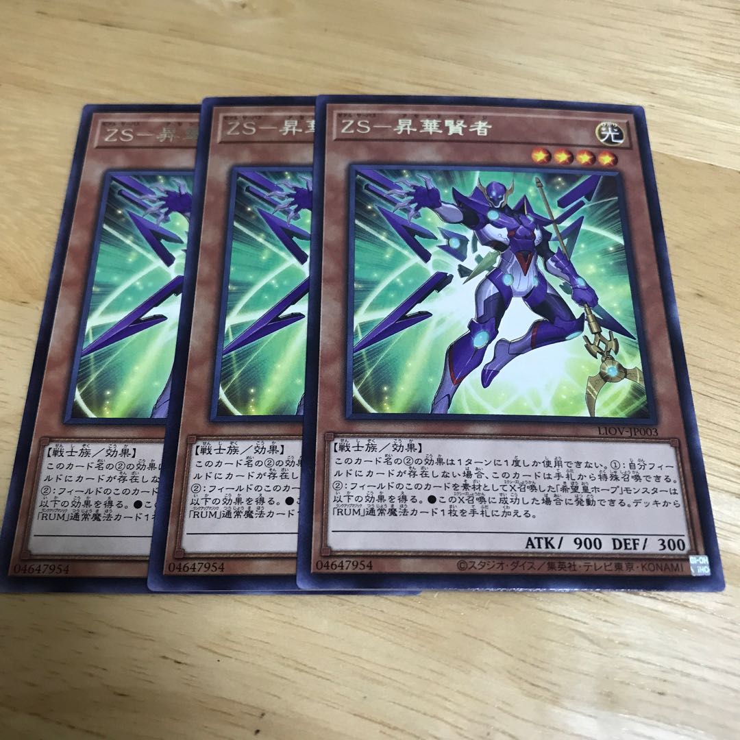 ZS-昇華賢者 レア　Hulu