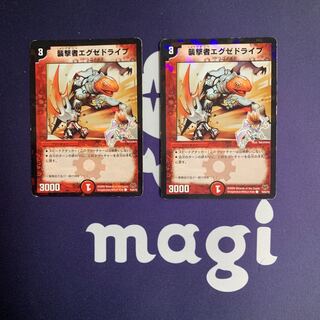 襲撃者エグゼドライブ