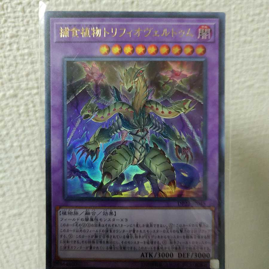 捕食植物トリフィオヴェルトゥム ウルトラレア