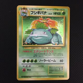 フシギバナ キラ 旧裏 マークなし