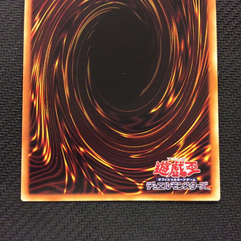 （微キズ）捕食植物ヴェルテ・アナコンダ　ウルトラレア