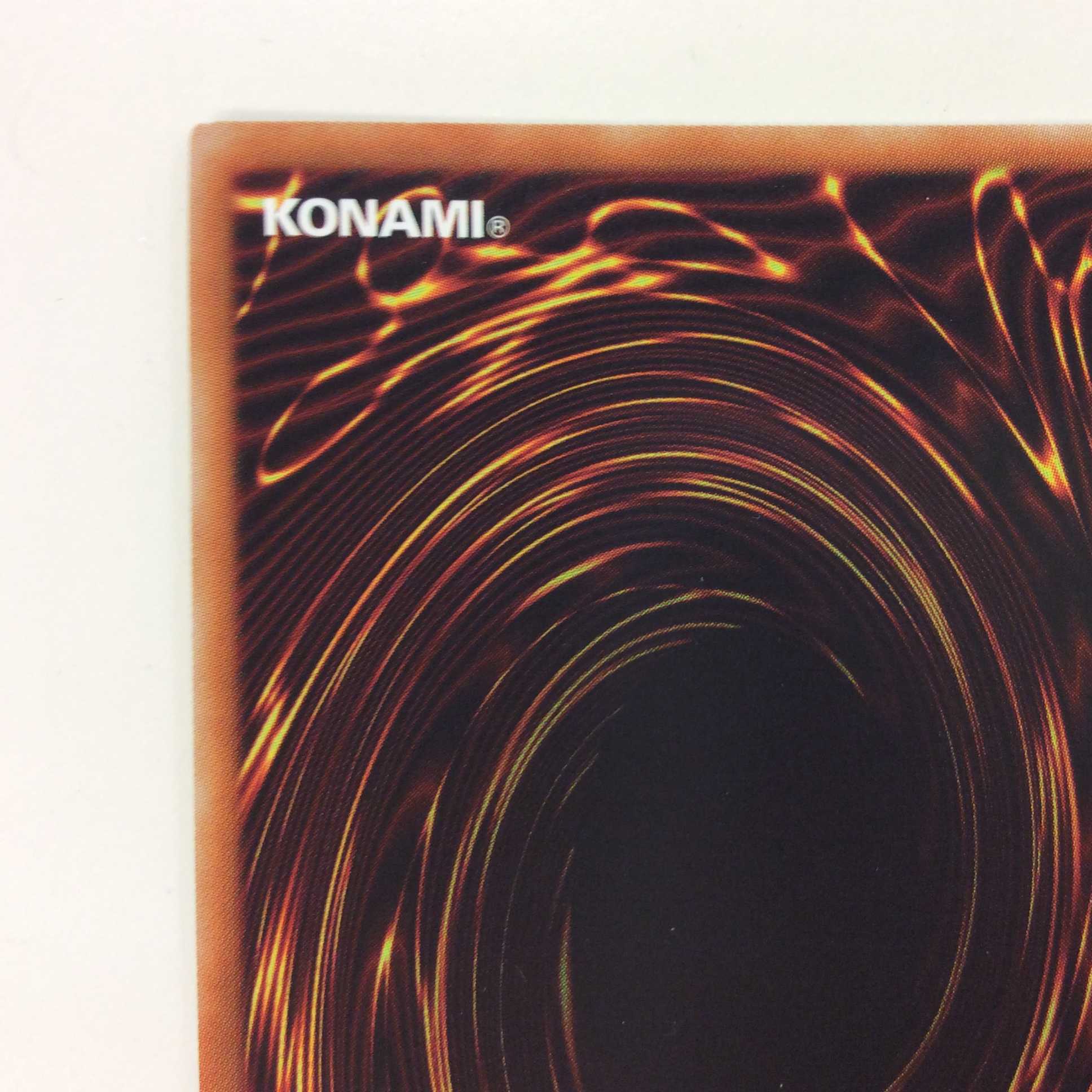 （美品）捕食植物ヴェルテ・アナコンダ　ウルトラレア