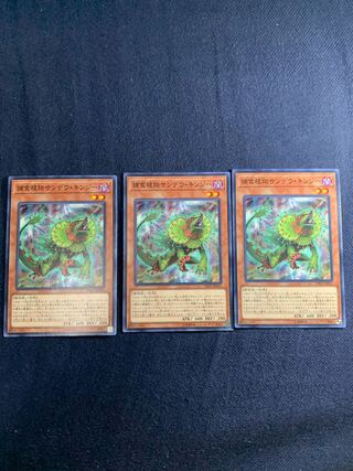 捕食植物サンデウ・キンジー ノーマル　3枚