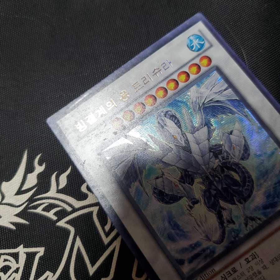 氷結界の龍 トリシューラ 韓国版シク