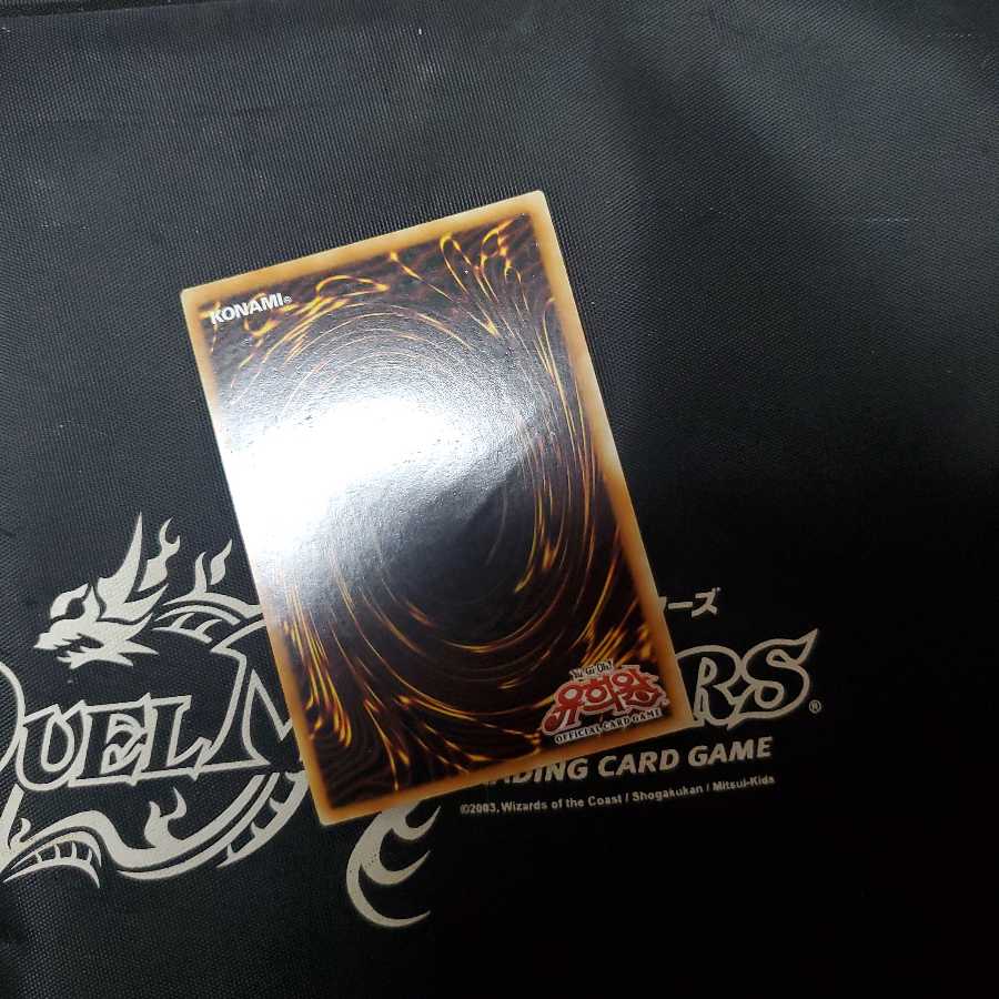 氷結界の龍 トリシューラ 韓国版シク