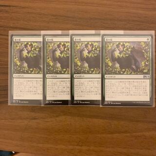 夏の帳 なつのとばり