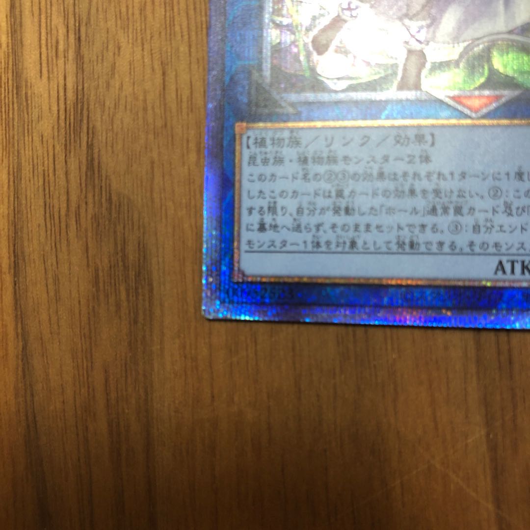 クラリアの蟲惑魔 プリズマティックシークレットレア