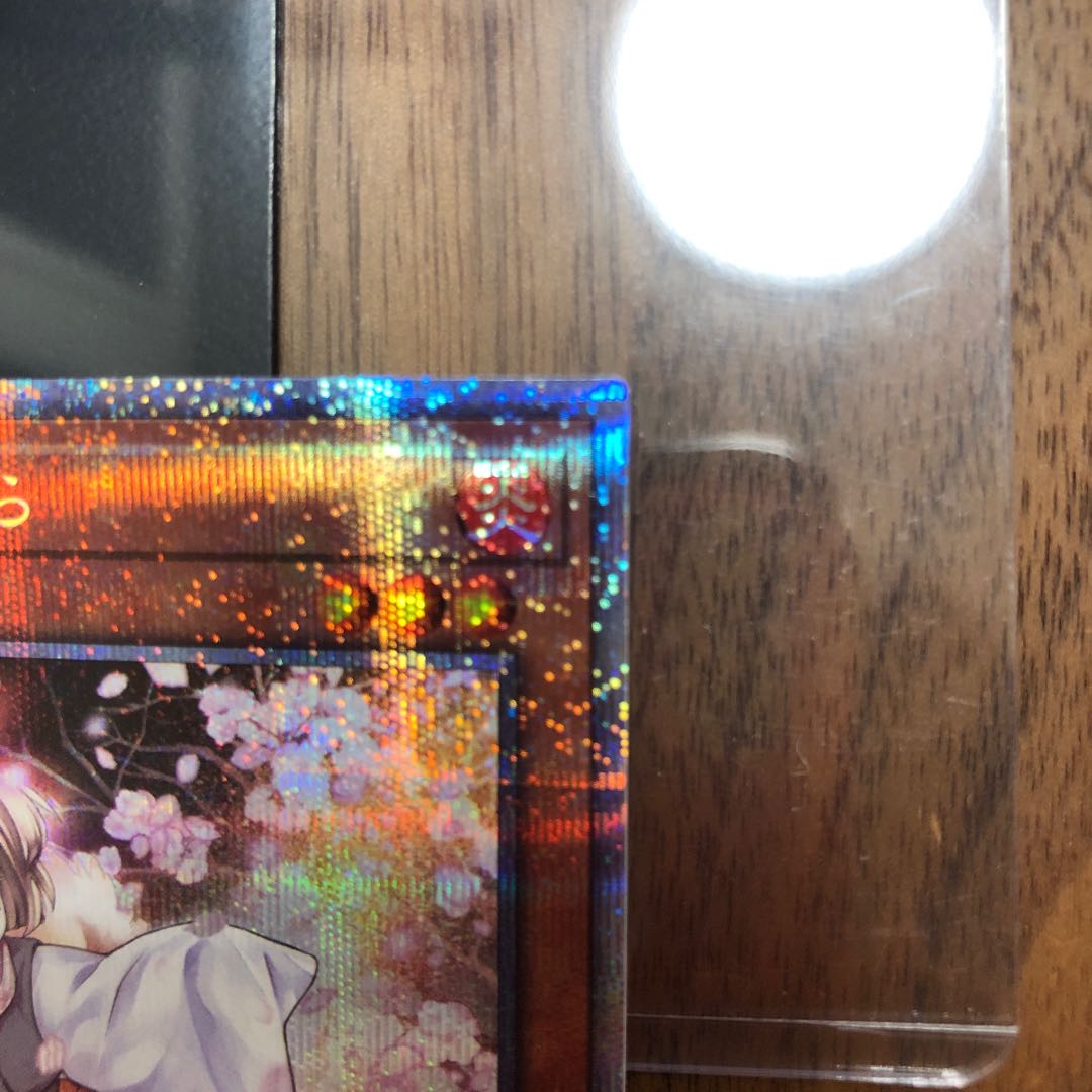 Ash Blossom & Joyous Spring (existing illustration)