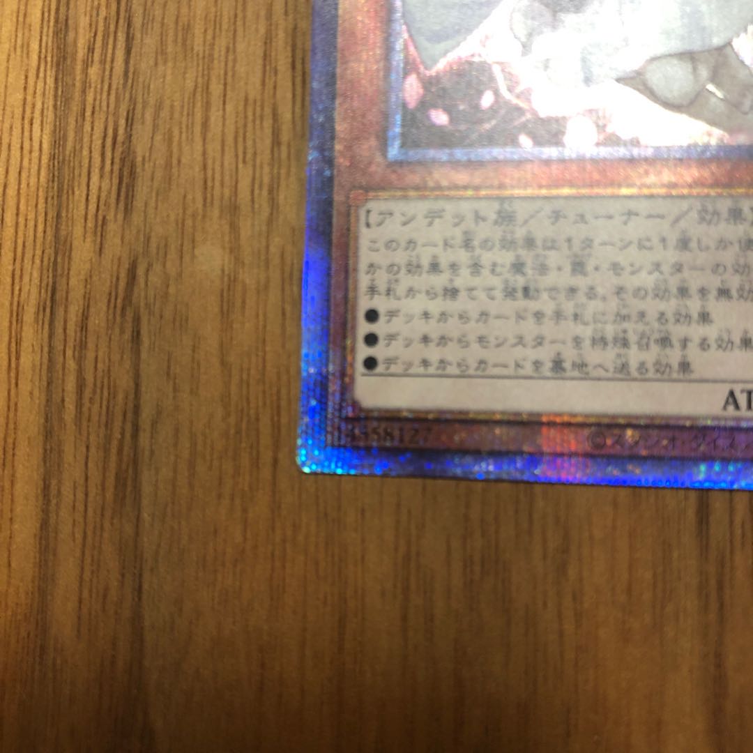 Ash Blossom & Joyous Spring (existing illustration)