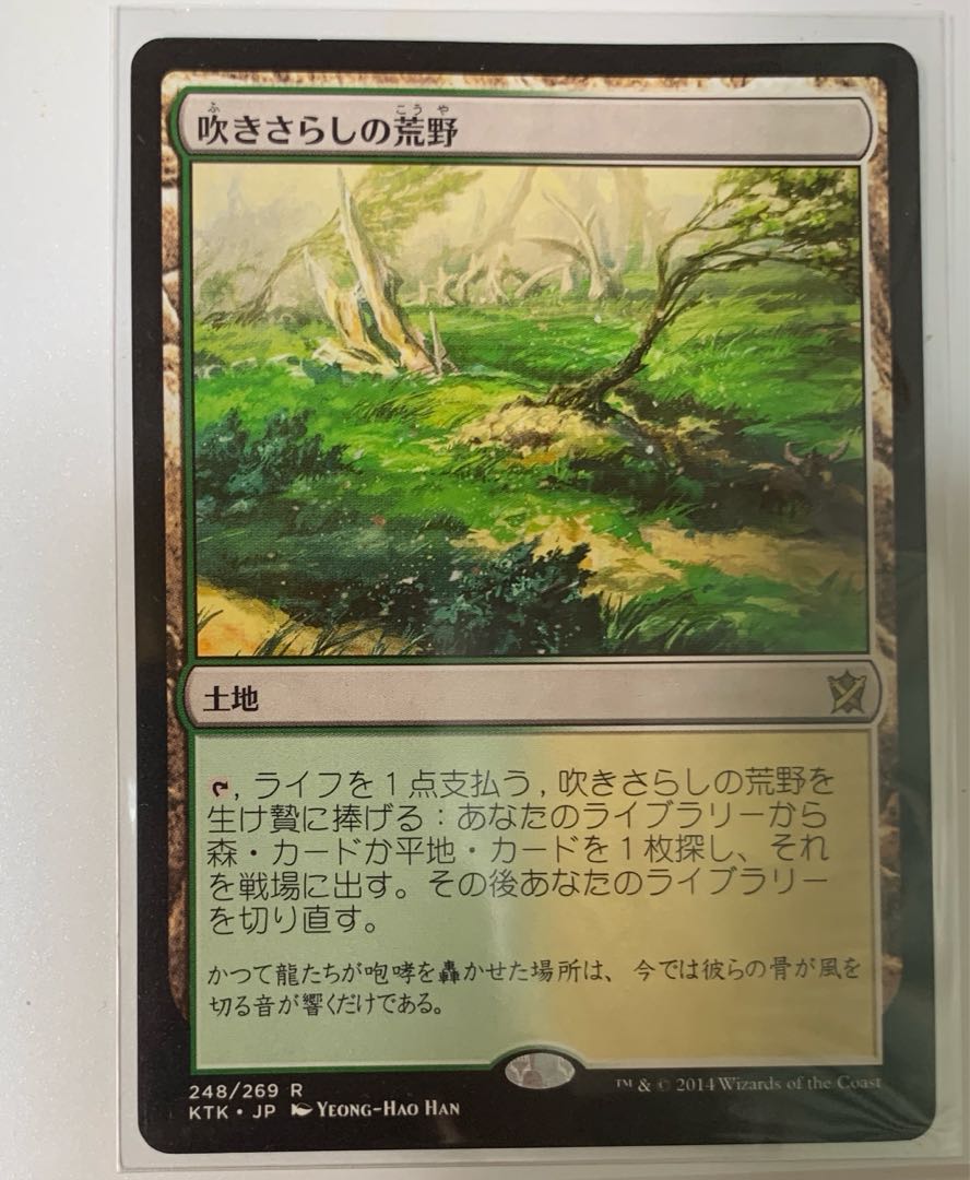 吹きさらしの荒野