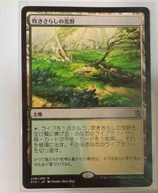 吹きさらしの荒野