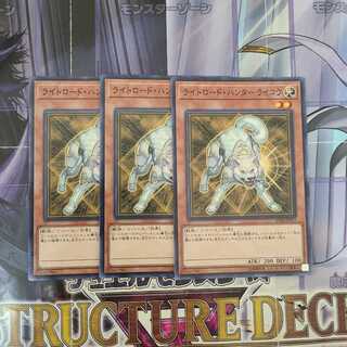 ライトロード・ハンター ライコウ ノーマル　3枚