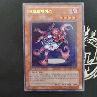 Necroface Korean version