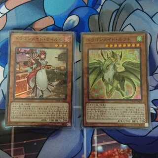 ドラゴンメイド・ティルル