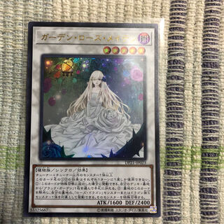ガーデン・ローズ・メイデン ウルトラレア