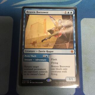 厚かましい借り手 英語版