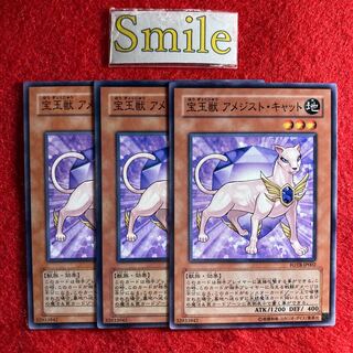 宝玉獣 アメジスト・キャット#800