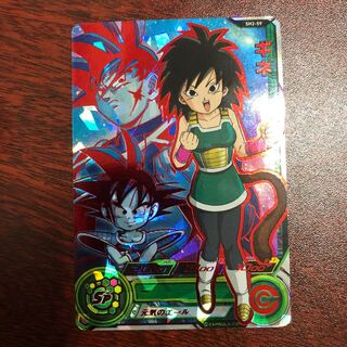 guinea pig (Cavia porcellus)