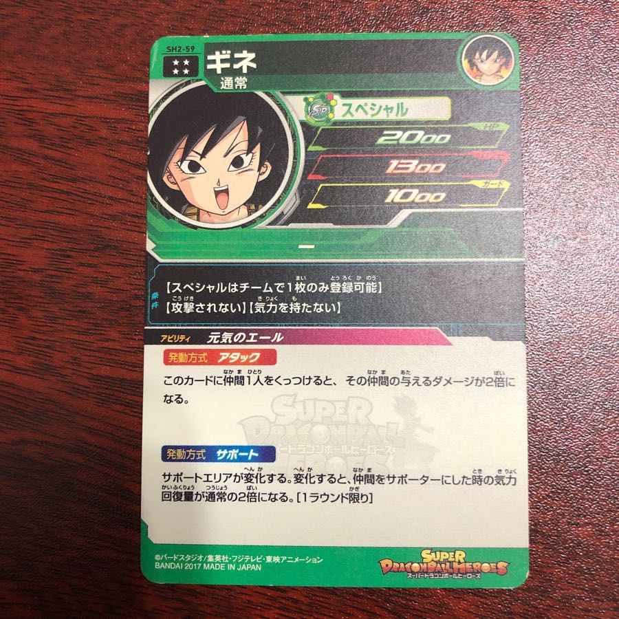 guinea pig (Cavia porcellus)