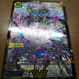 True Sacred Church Endless Heaven｜True Heavenly King Never End