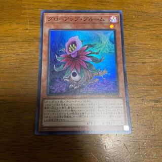 グローアップ・ブルーム スーパーレア