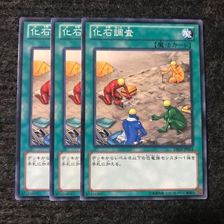 化石調査 ノーマル