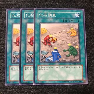 化石調査 ノーマル