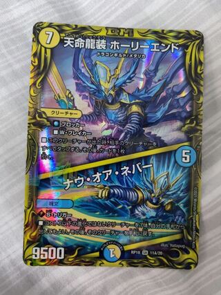 天命龍装 ホーリーエンド｜ナウ・オア・ネバー(20thレア仕様)