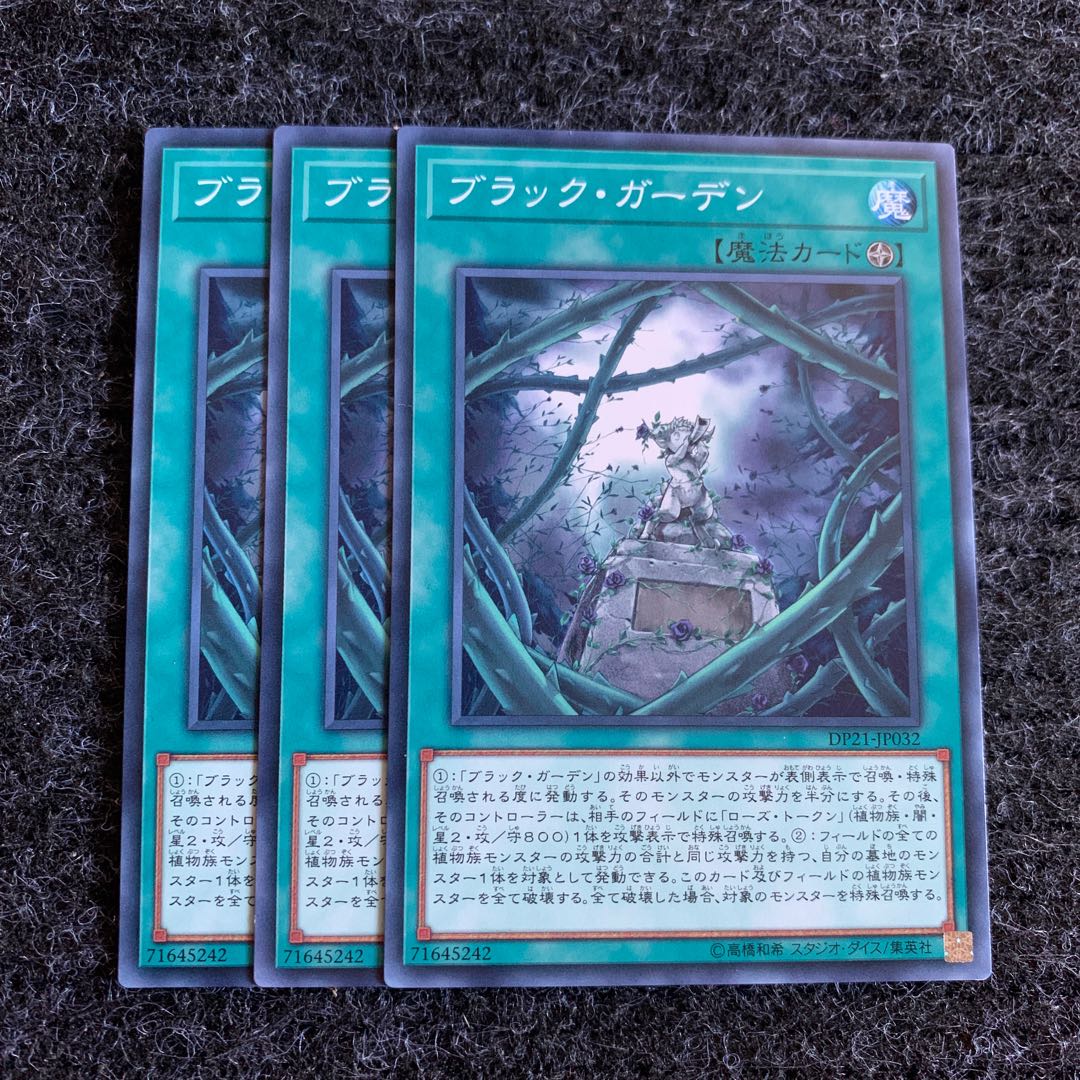 ブラック・ガーデン ノーマル