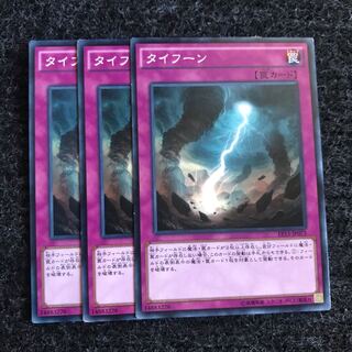 タイフーン ノーマル