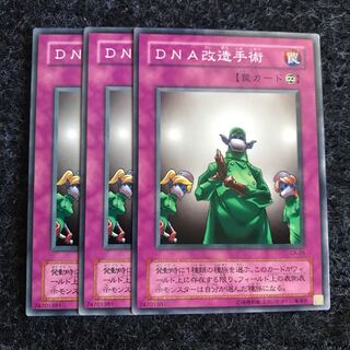 DNA改造手術 ノーマル