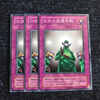 DNA改造手術 ノーマル