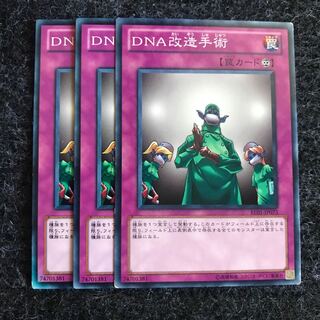 DNA改造手術 ノーマル