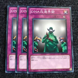 DNA改造手術 ノーマル