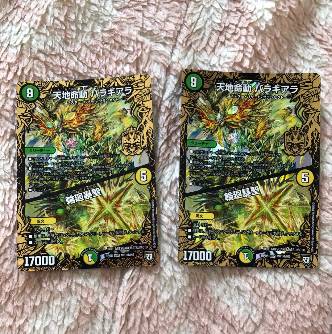 天地命動 バラギアラ｜輪廻暴聖