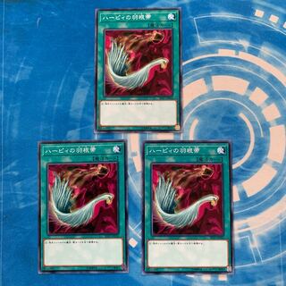 ハーピィの羽根帚 ノーマル