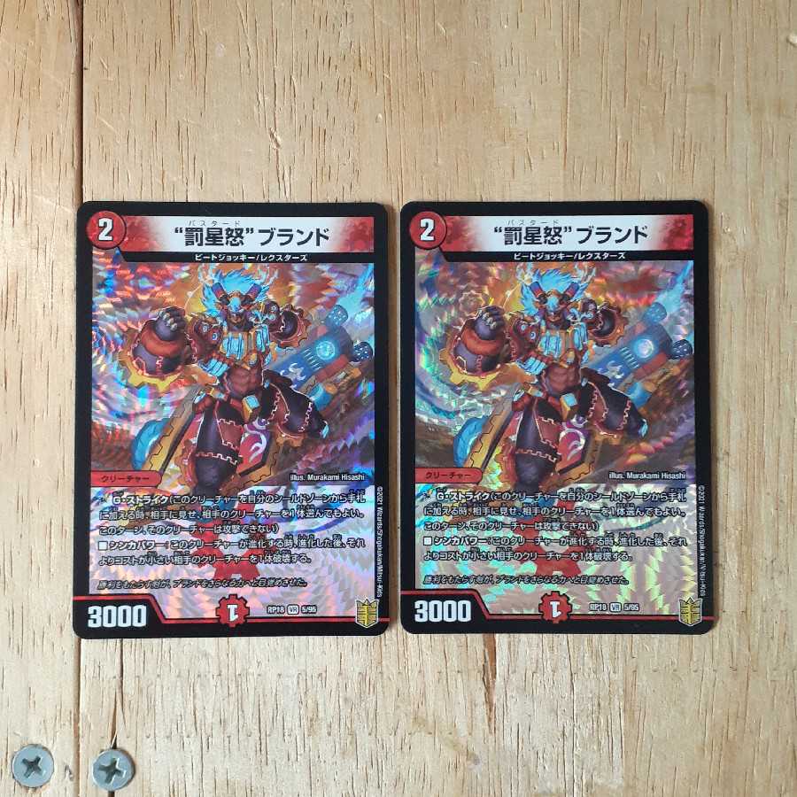 “罰星怒”ブランド 2枚セット