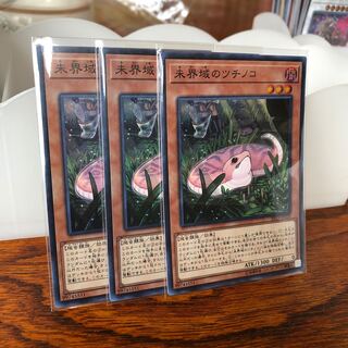 未界域のツチノコ スーパーレア　3枚　マホ子